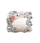 動くカイコちゃんスタンプ①（個別スタンプ：10）