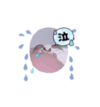 動くカイコちゃんスタンプ①（個別スタンプ：11）