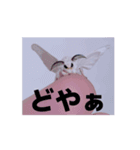 動くカイコちゃんスタンプ①（個別スタンプ：16）