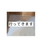 名犬らうーる君のスタンプ（個別スタンプ：13）