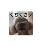 ぷ〜失礼な言葉（個別スタンプ：2）