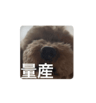 ぷ〜失礼な言葉（個別スタンプ：3）