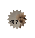 ぷ〜失礼な言葉（個別スタンプ：5）
