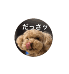 ぷ〜失礼な言葉（個別スタンプ：6）