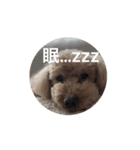 ぷ〜失礼な言葉（個別スタンプ：8）