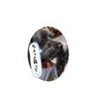 まきすみと（個別スタンプ：3）