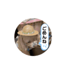 まきすみと（個別スタンプ：4）