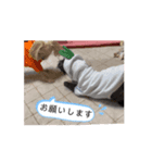 まきすみと（個別スタンプ：6）