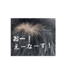 ザビエル芸人（個別スタンプ：3）
