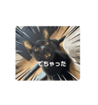 くろねこのてぃーくん（個別スタンプ：4）