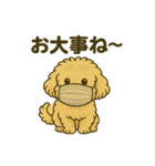 エイプ君のスタンプ③（個別スタンプ：37）
