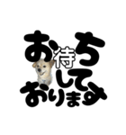 我が家のハーフ犬ポメチ⑪（個別スタンプ：8）