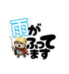 我が家のハーフ犬ポメチ⑪（個別スタンプ：40）