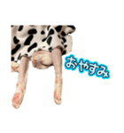 桃乃助PART2（個別スタンプ：4）