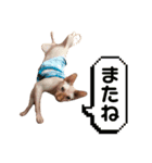 桃乃助PART2（個別スタンプ：7）