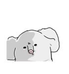 子ぞうの耳（個別スタンプ：17）