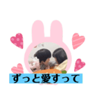 はやあおカップル3弾（個別スタンプ：5）
