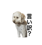 HIME〜ひめ〜 Ver.7（個別スタンプ：3）