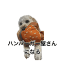 HIME〜ひめ〜 Ver.7（個別スタンプ：16）