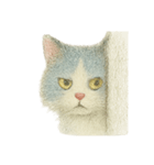 基本眠い猫のスタンプ（個別スタンプ：1）