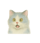 基本眠い猫のスタンプ（個別スタンプ：5）