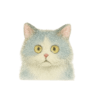 基本眠い猫のスタンプ（個別スタンプ：8）