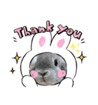 たれ耳うさぎのしろちゃん(u•.•u)（個別スタンプ：4）