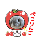 たれ耳うさぎのしろちゃん(u•.•u)（個別スタンプ：15）