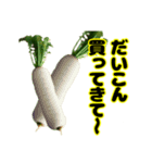 買ってきてシリーズ（野菜編①）（個別スタンプ：7）