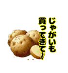買ってきてシリーズ（野菜編①）（個別スタンプ：9）
