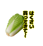 買ってきてシリーズ（野菜編①）（個別スタンプ：11）