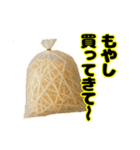 買ってきてシリーズ（野菜編①）（個別スタンプ：18）