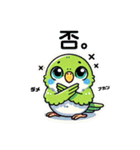 日常使いマメルリハ（個別スタンプ：6）