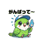 日常使いマメルリハ（個別スタンプ：10）