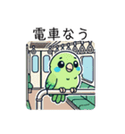 日常使いマメルリハ（個別スタンプ：12）