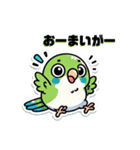 日常使いマメルリハ（個別スタンプ：14）