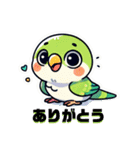 日常使いマメルリハ（個別スタンプ：16）