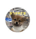 ⭐︎武蔵スタンプ第2弾⭐︎（個別スタンプ：1）
