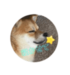 ⭐︎武蔵スタンプ第2弾⭐︎（個別スタンプ：5）