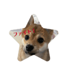 ⭐︎武蔵スタンプ第2弾⭐︎（個別スタンプ：11）