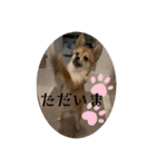 ⭐︎武蔵スタンプ第2弾⭐︎（個別スタンプ：15）