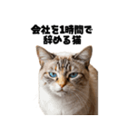 会社を入社1時間で辞める猫（個別スタンプ：1）