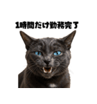 会社を入社1時間で辞める猫（個別スタンプ：12）