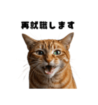 会社を入社1時間で辞める猫（個別スタンプ：35）