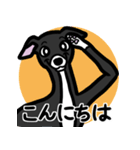 【ブラック3】1年中使えるイタグレスタンプ（個別スタンプ：2）
