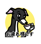 【ブラック3】1年中使えるイタグレスタンプ（個別スタンプ：8）