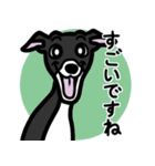 【ブラック3】1年中使えるイタグレスタンプ（個別スタンプ：14）
