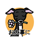 【ブラック3】1年中使えるイタグレスタンプ（個別スタンプ：23）