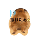 うずゆず 気持ち（個別スタンプ：2）