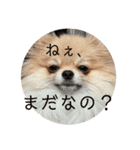 うずゆず 気持ち（個別スタンプ：5）